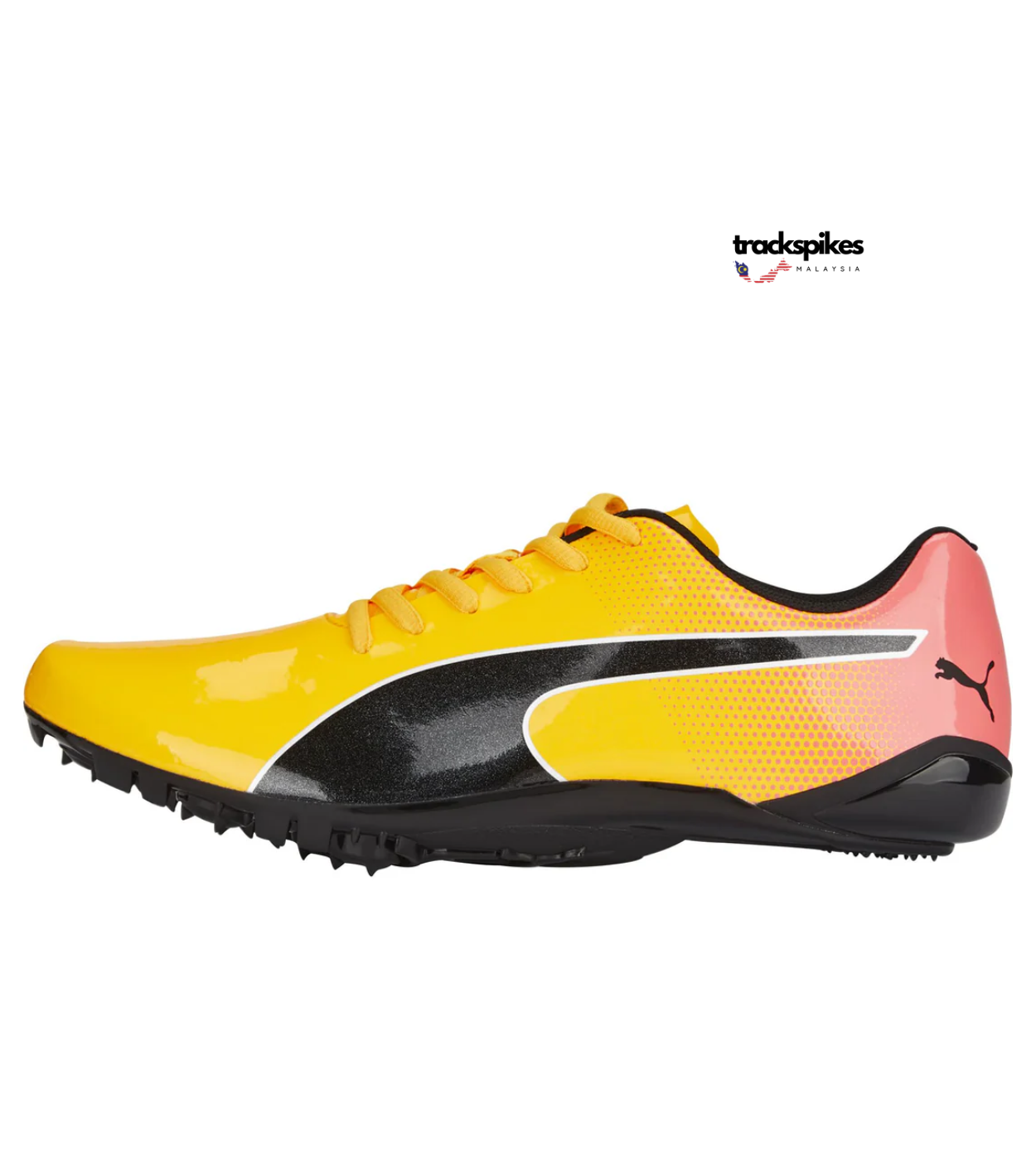 Puma Evospeed Prep Sprint