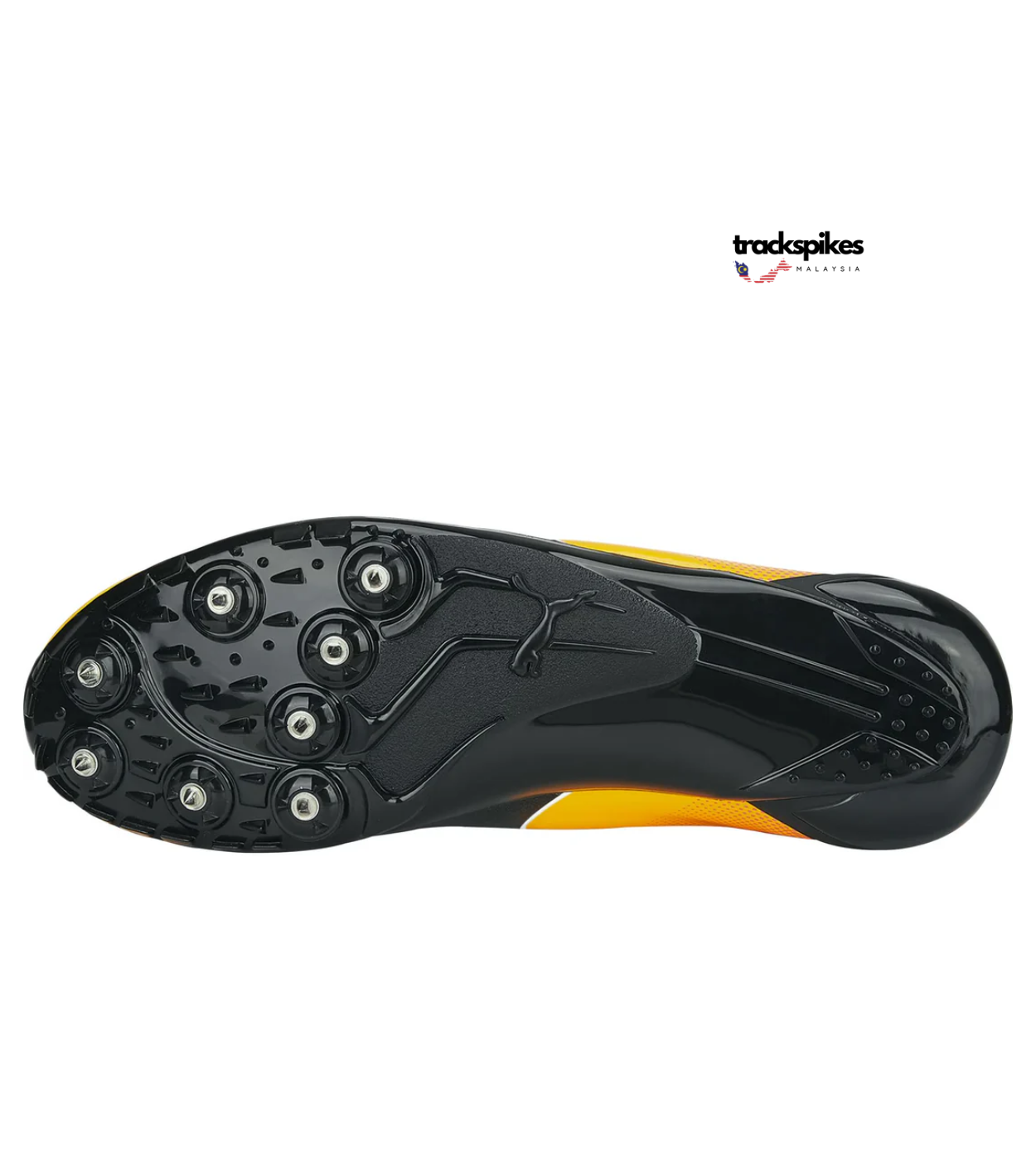 Puma Evospeed Prep Sprint