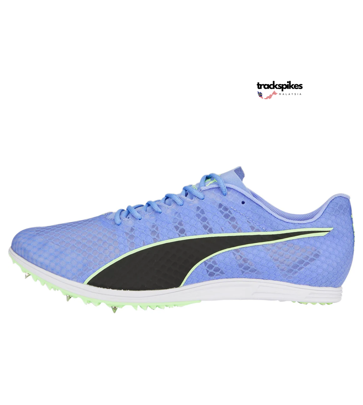 Puma Evospeed Distance 11
