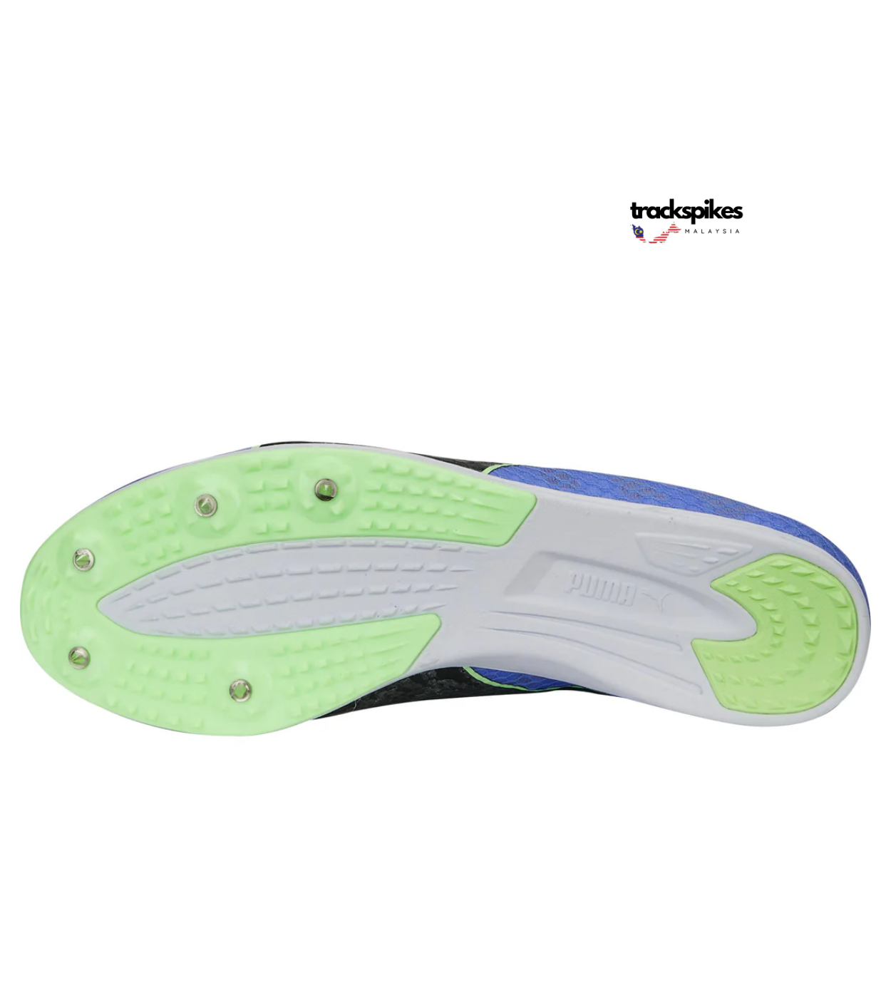 Puma Evospeed Distance 11