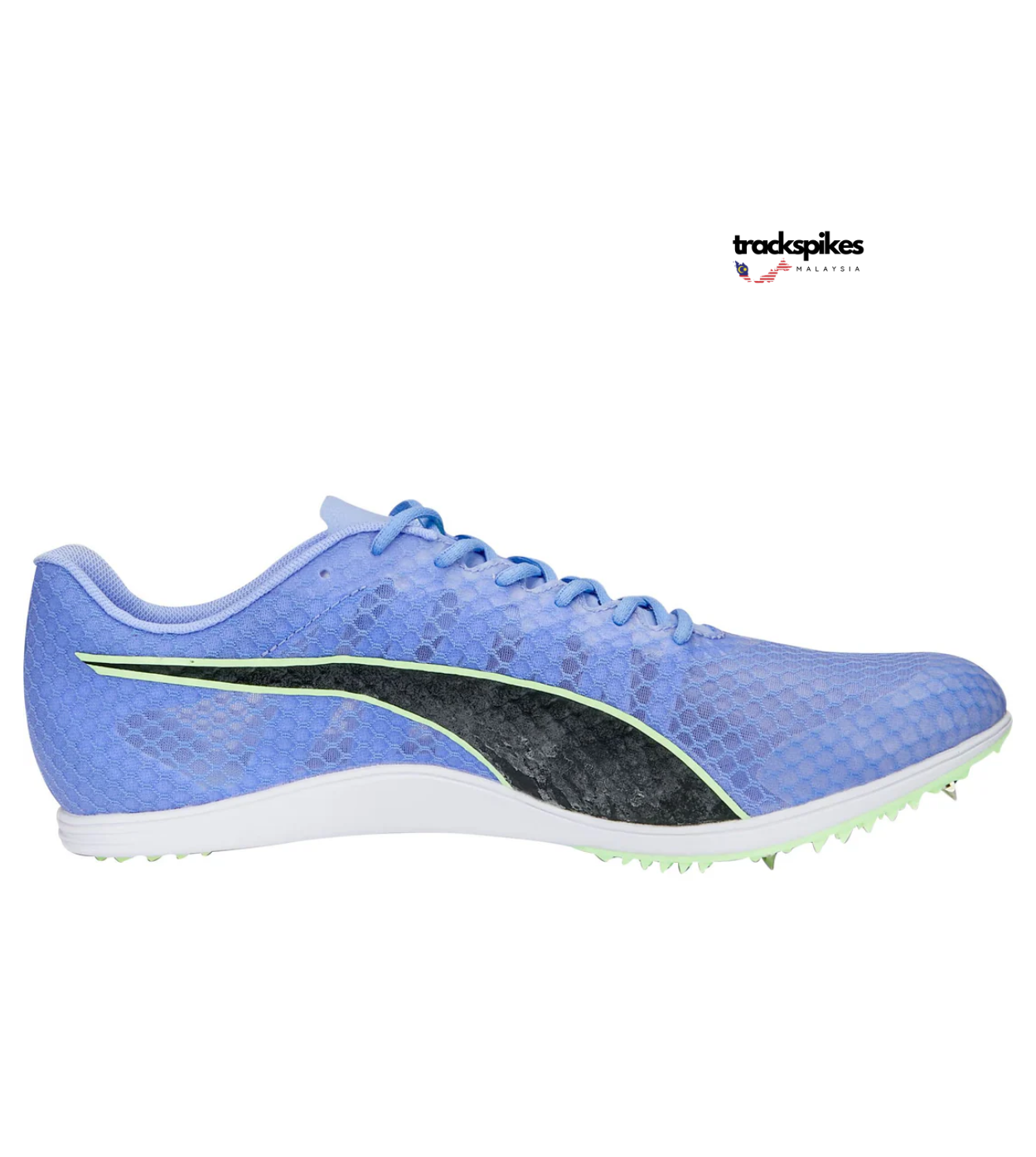 Puma Evospeed Distance 11