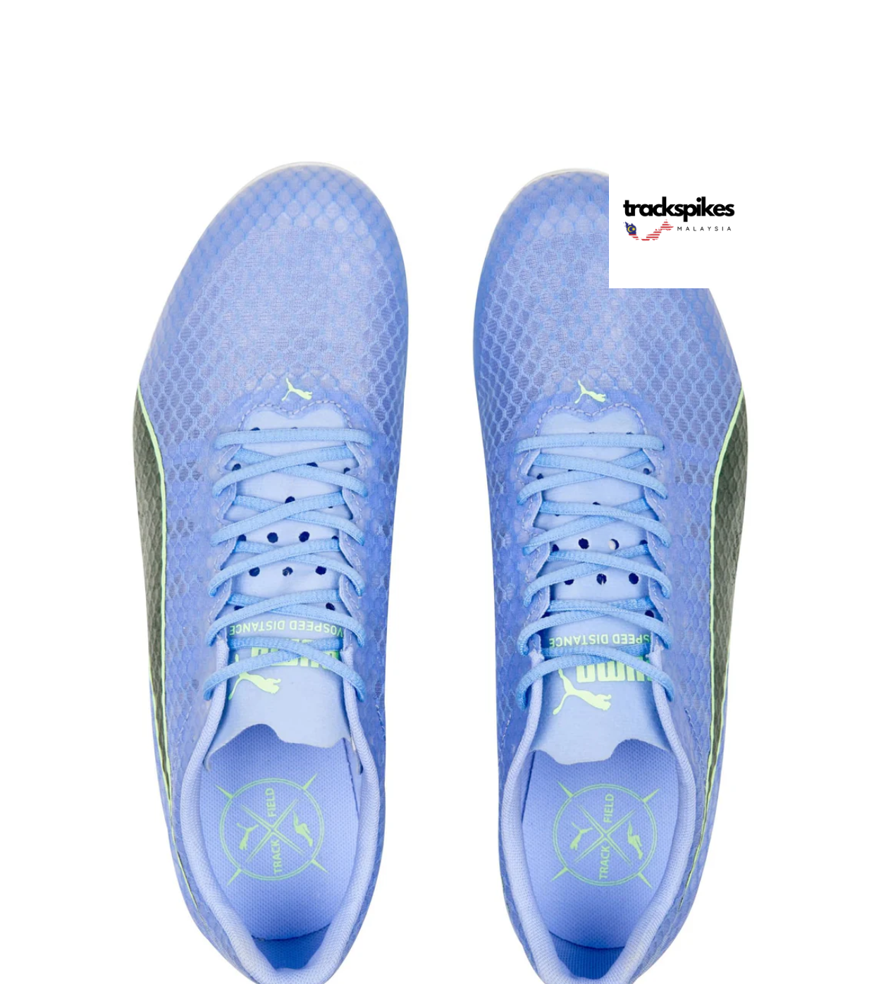 Puma Evospeed Distance 11