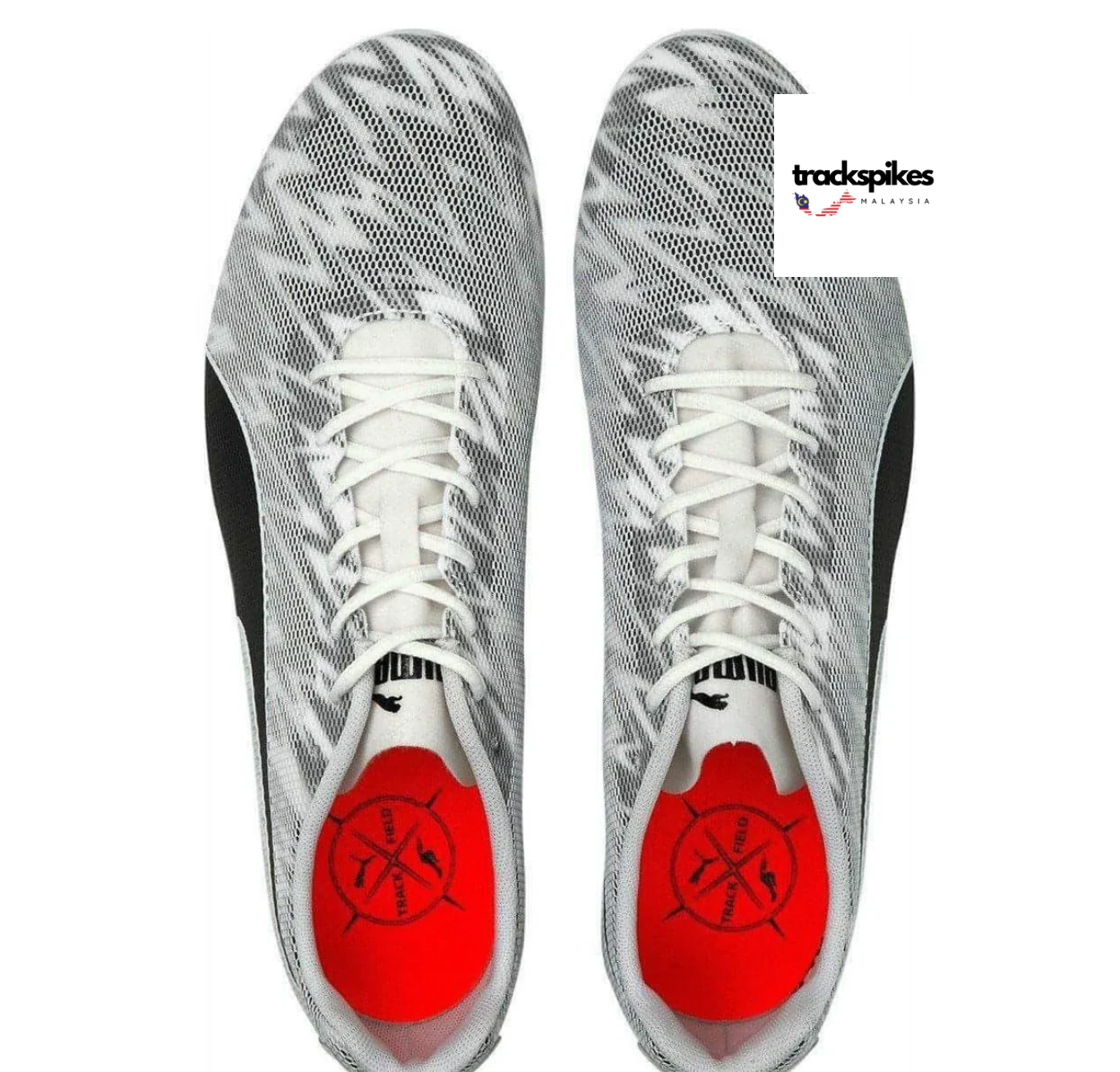 Puma Evospeed Star 7