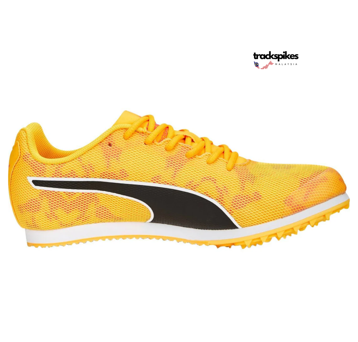 Puma Evospeed Star 8 (Junior)