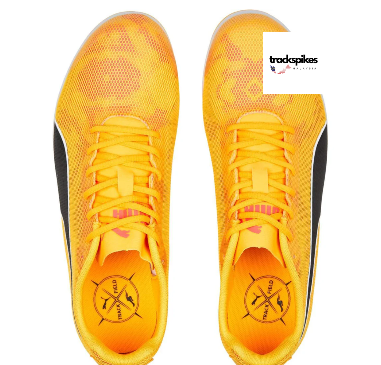 Puma Evospeed Star 8 (Junior)