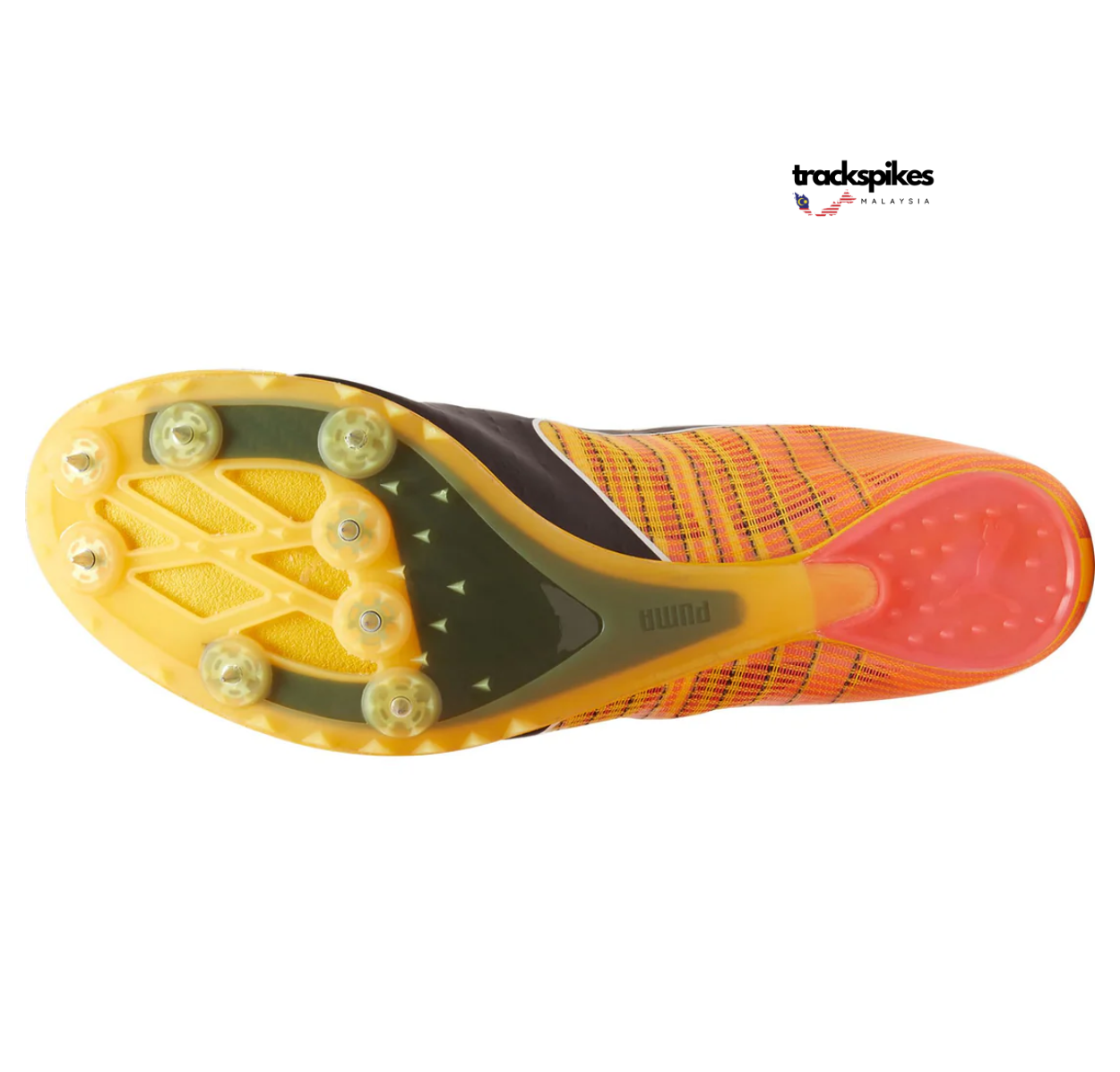 Puma Evospeed Future 6