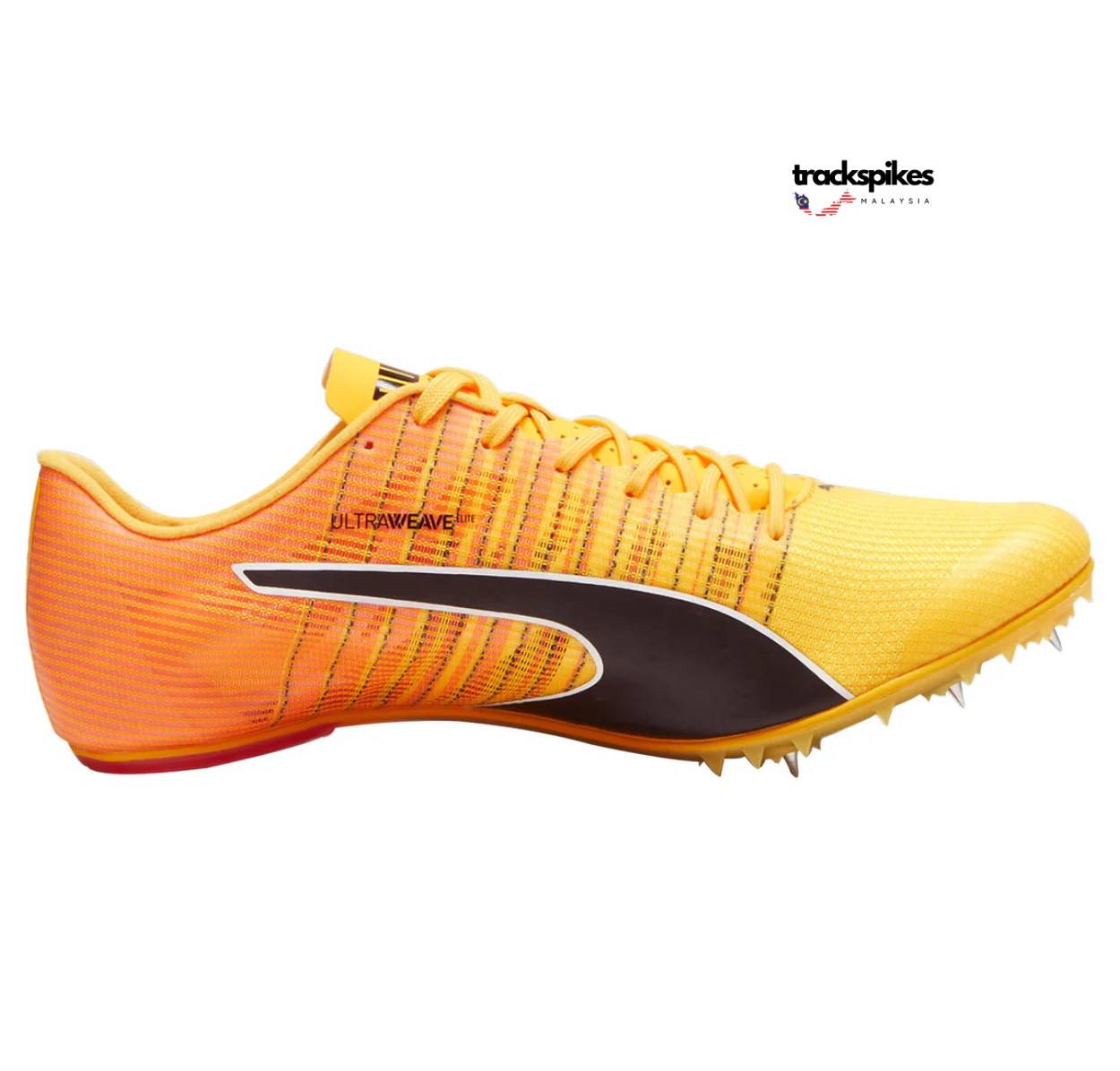 Puma Evospeed Future 6