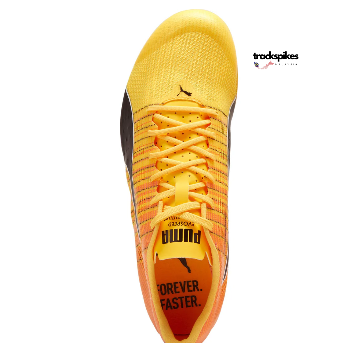 Puma Evospeed Future 6