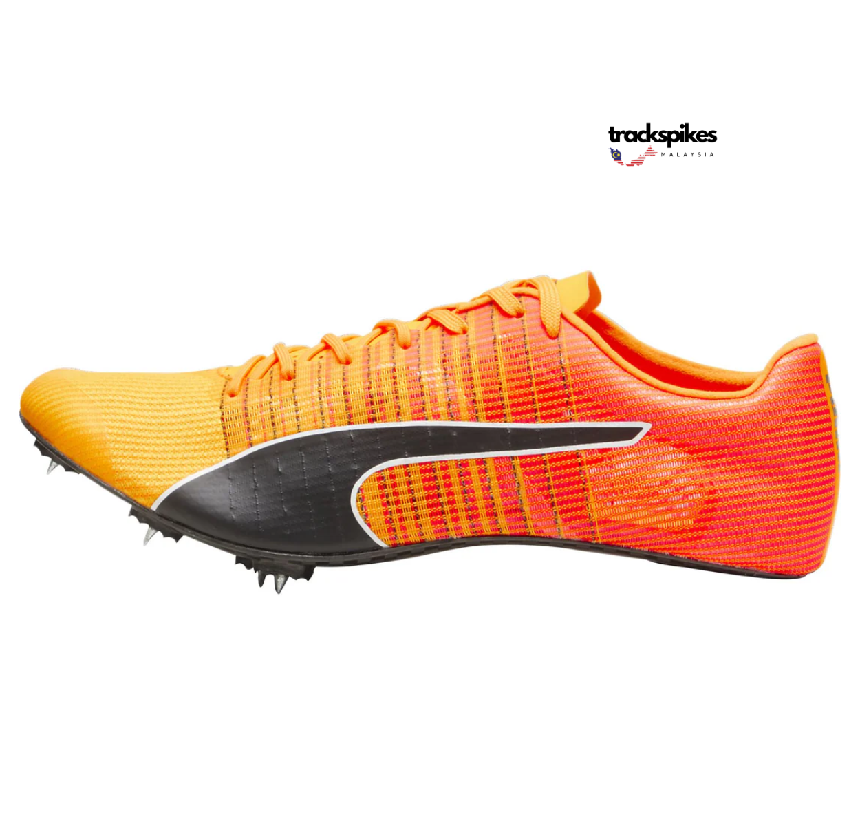 Puma Evospeed Future Faster + 4