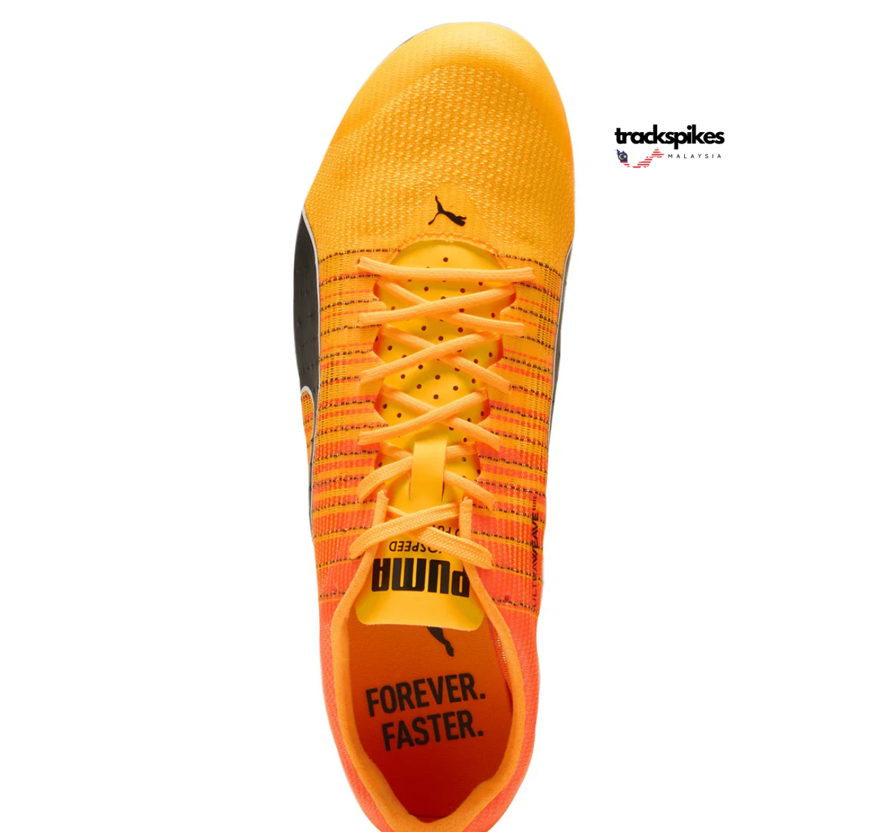 Puma Evospeed Future Faster + 4