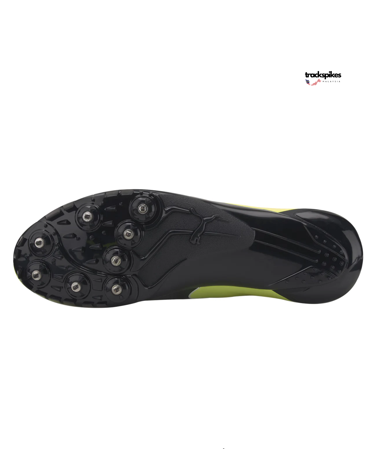 Puma Evospeed Prep Sprint