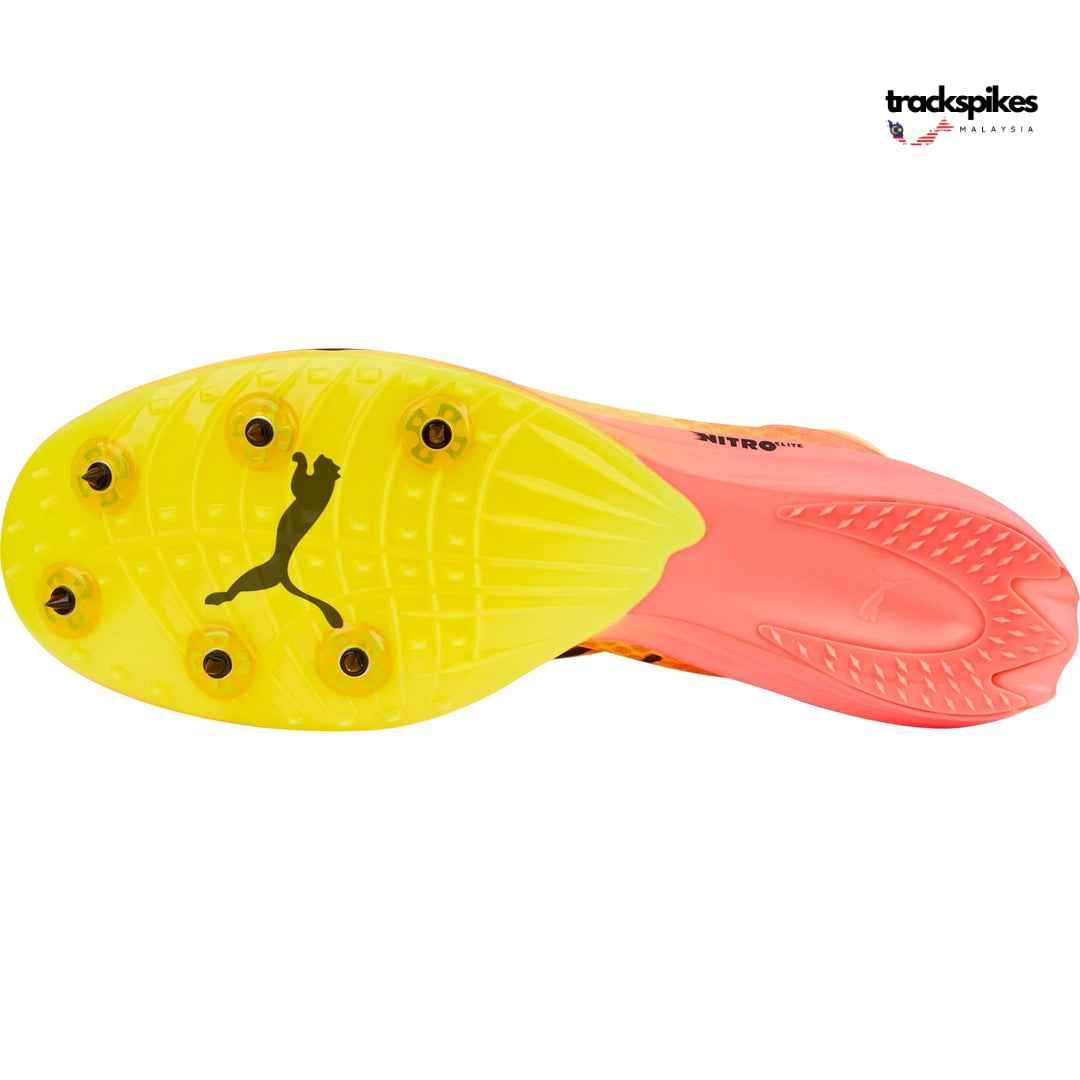 Puma Evospeed Distance Nitro Elite +2