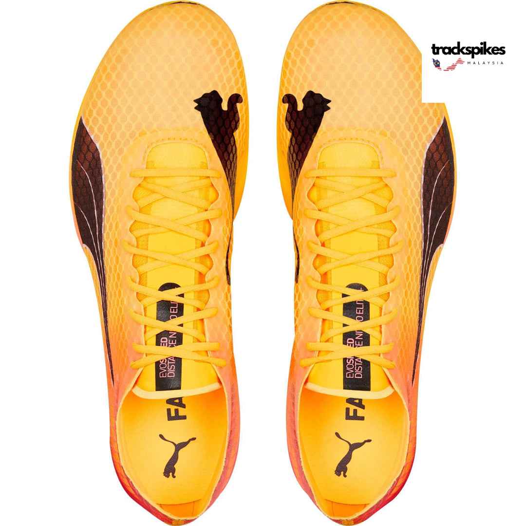 Puma Evospeed Distance Nitro Elite +2