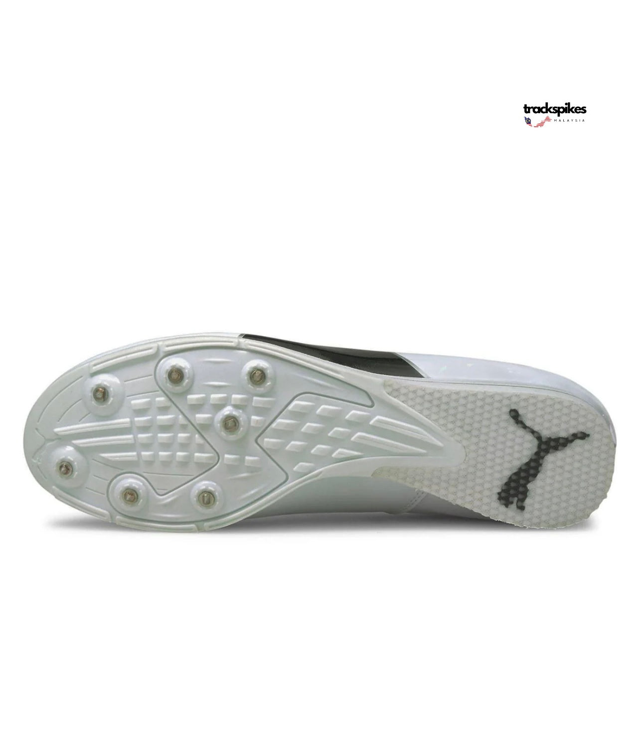 Puma Evospeed Triple Jump / Pole Vault 6