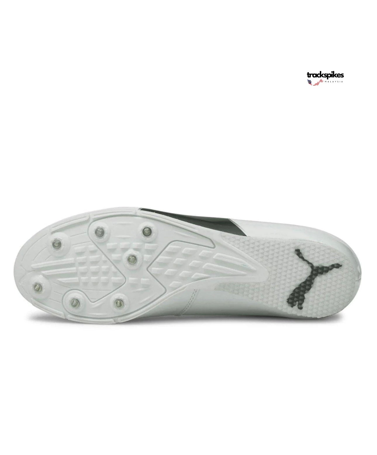 Puma Evospeed Long Jump 6