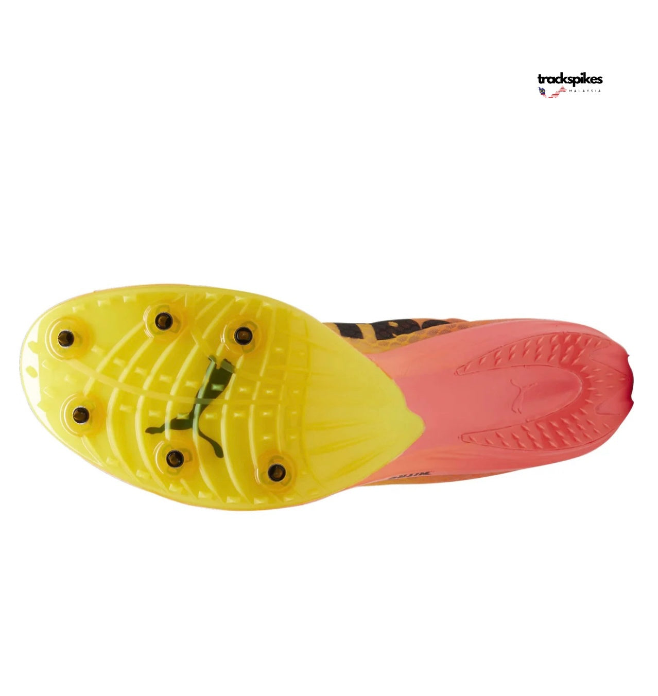 Puma Evospeed Distance Nitro Elite + 4