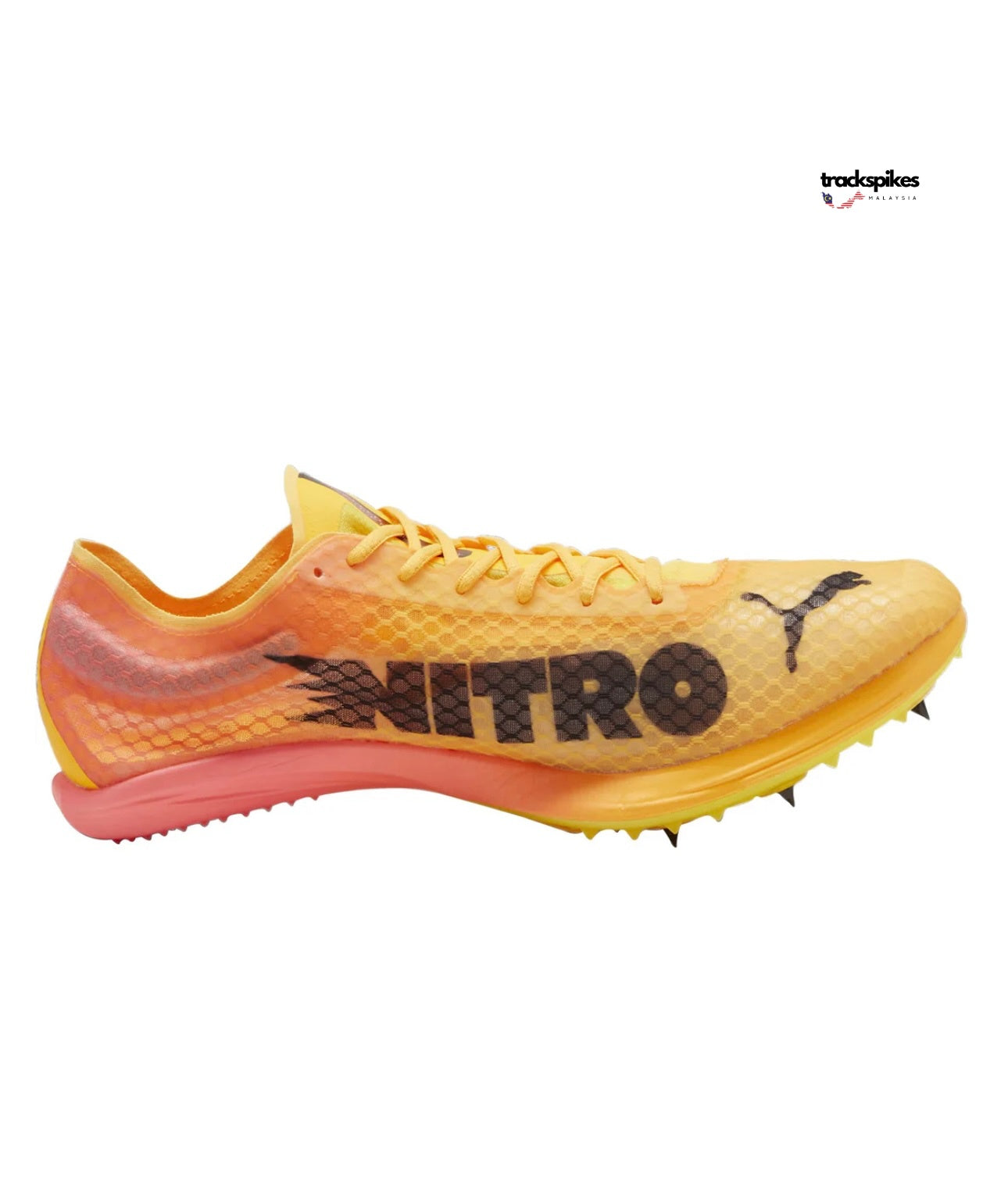 Puma Evospeed Distance Nitro Elite + 4