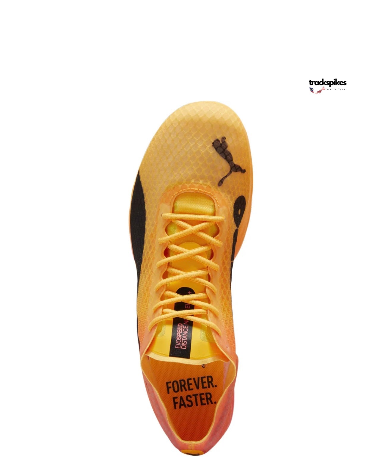 Puma Evospeed Distance Nitro Elite + 4
