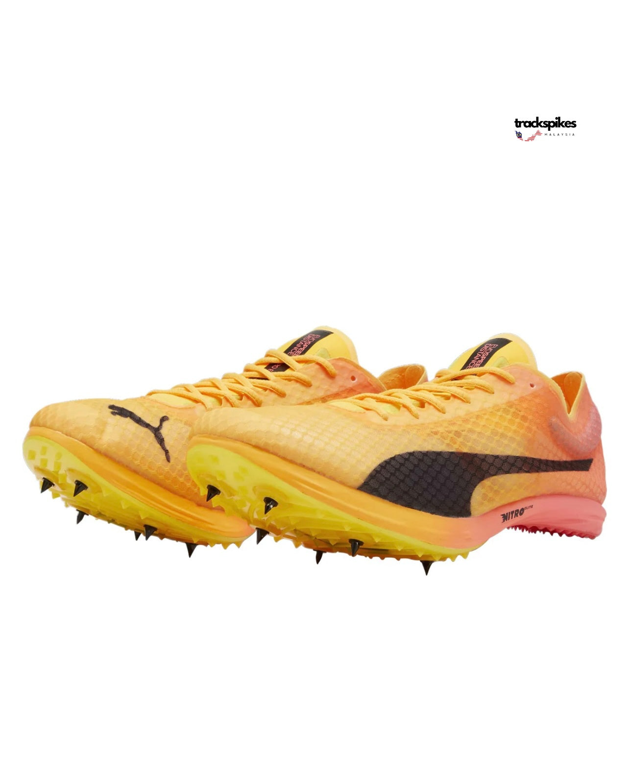 Puma Evospeed Distance Nitro Elite + 4