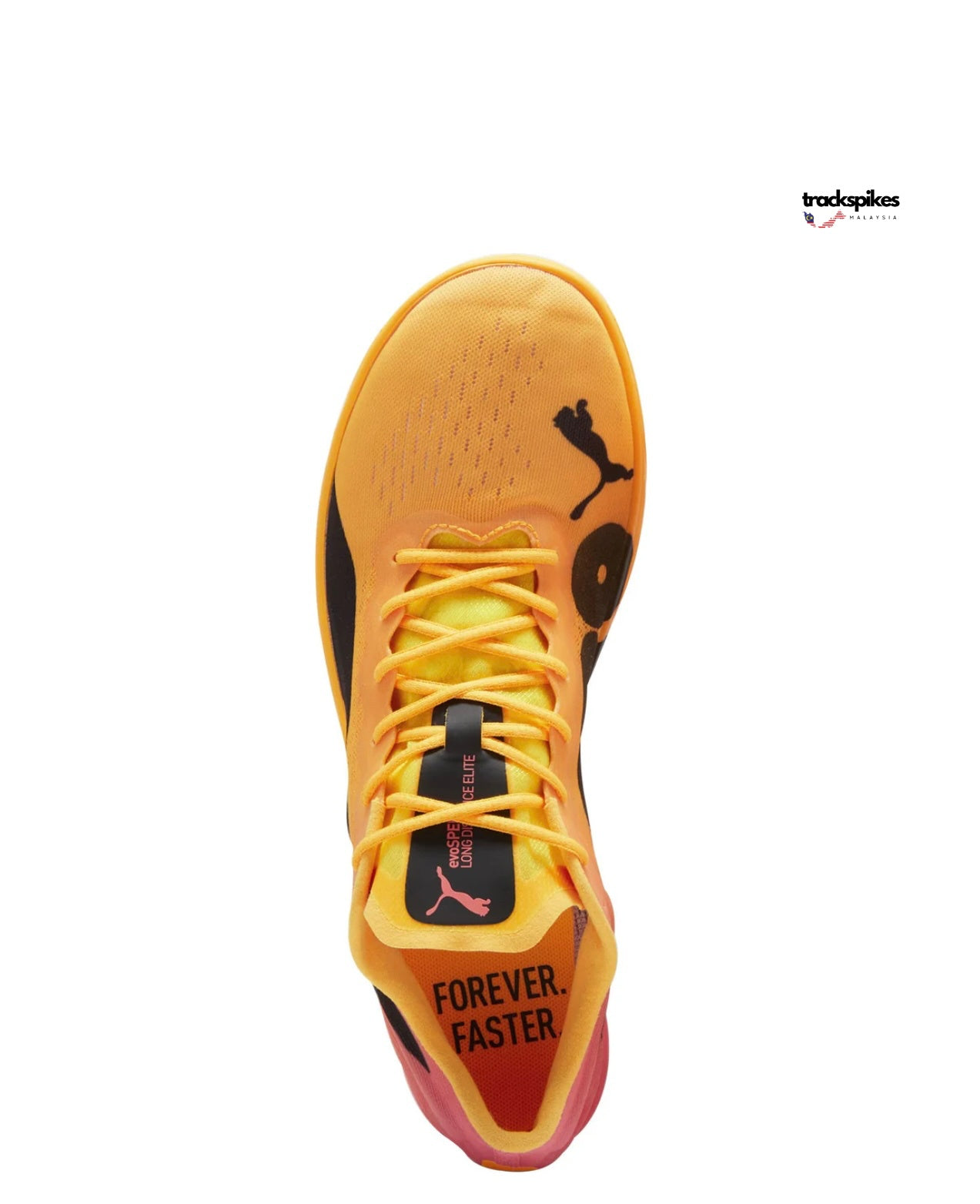 Puma Evospeed Distance Nitro Elite 2
