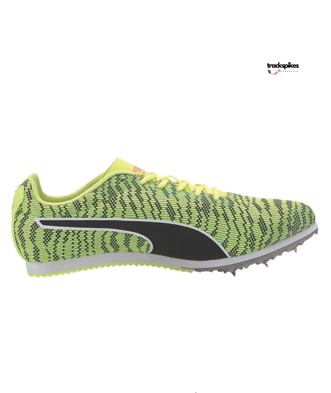 Puma Evospeed Star 6
