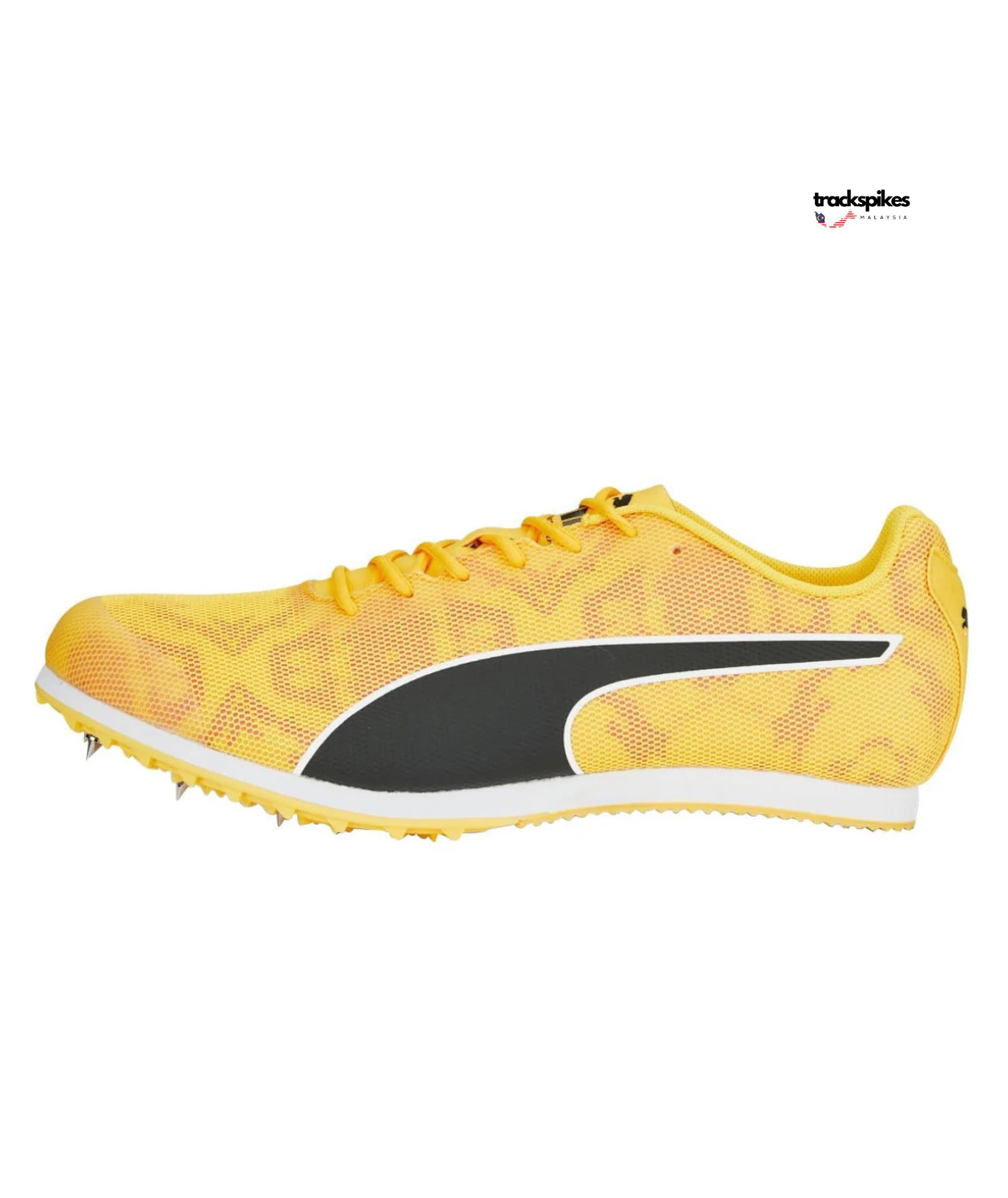 Puma Evospeed Star 8