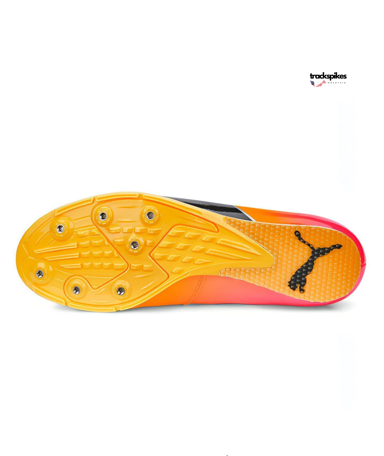 Puma Evospeed Long Jump 10