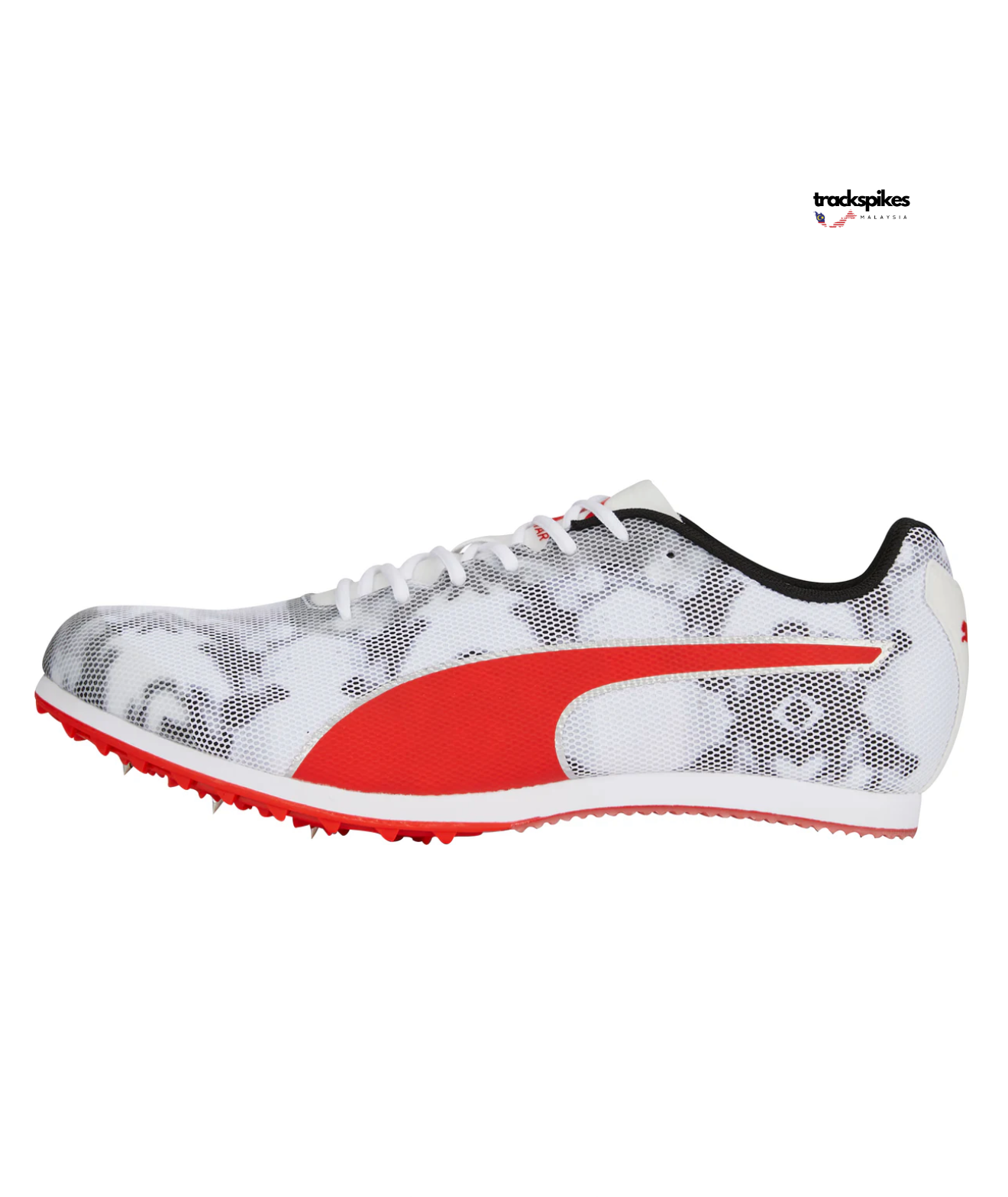 Puma Evospeed Star 8