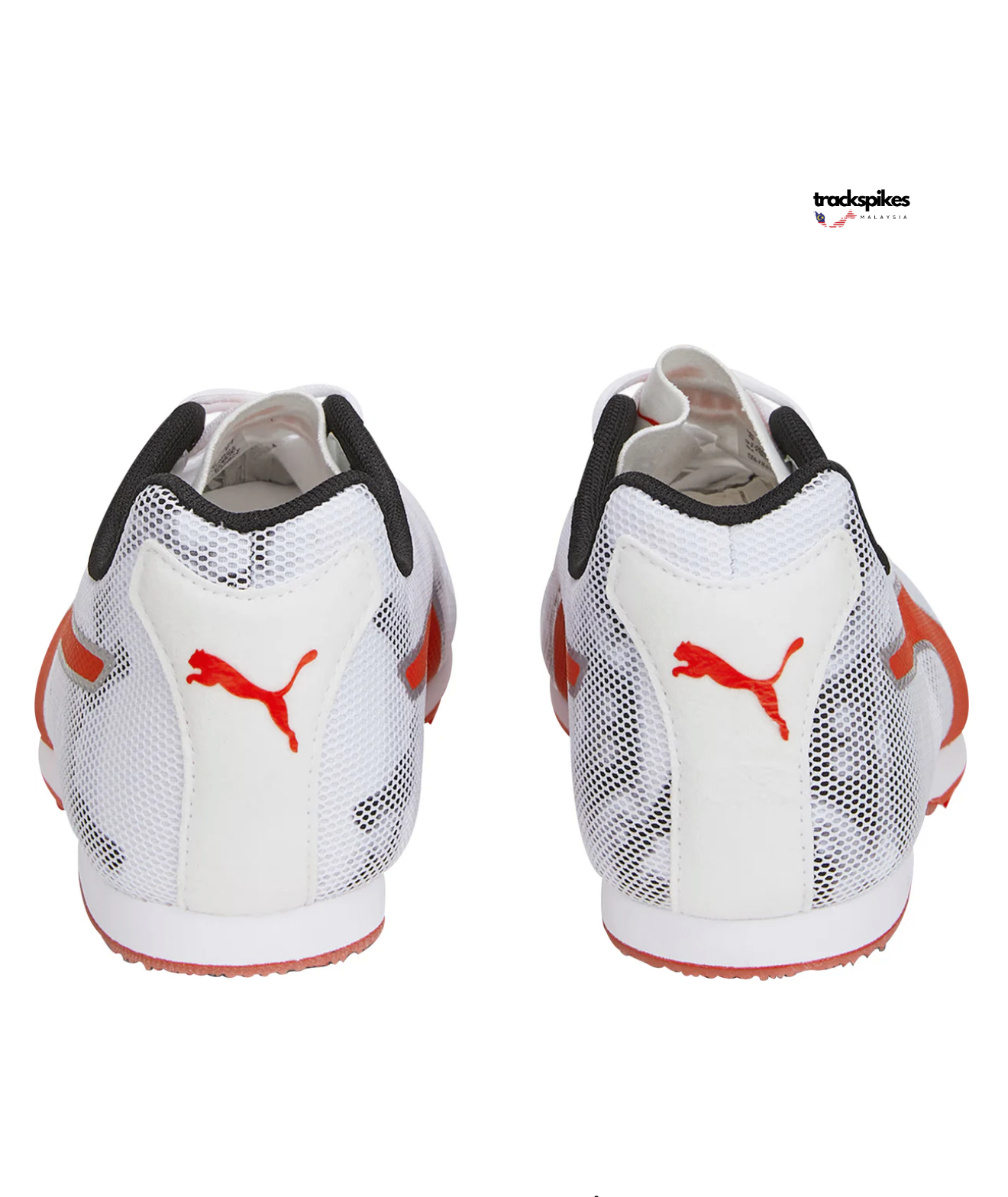 Puma Evospeed Star 8