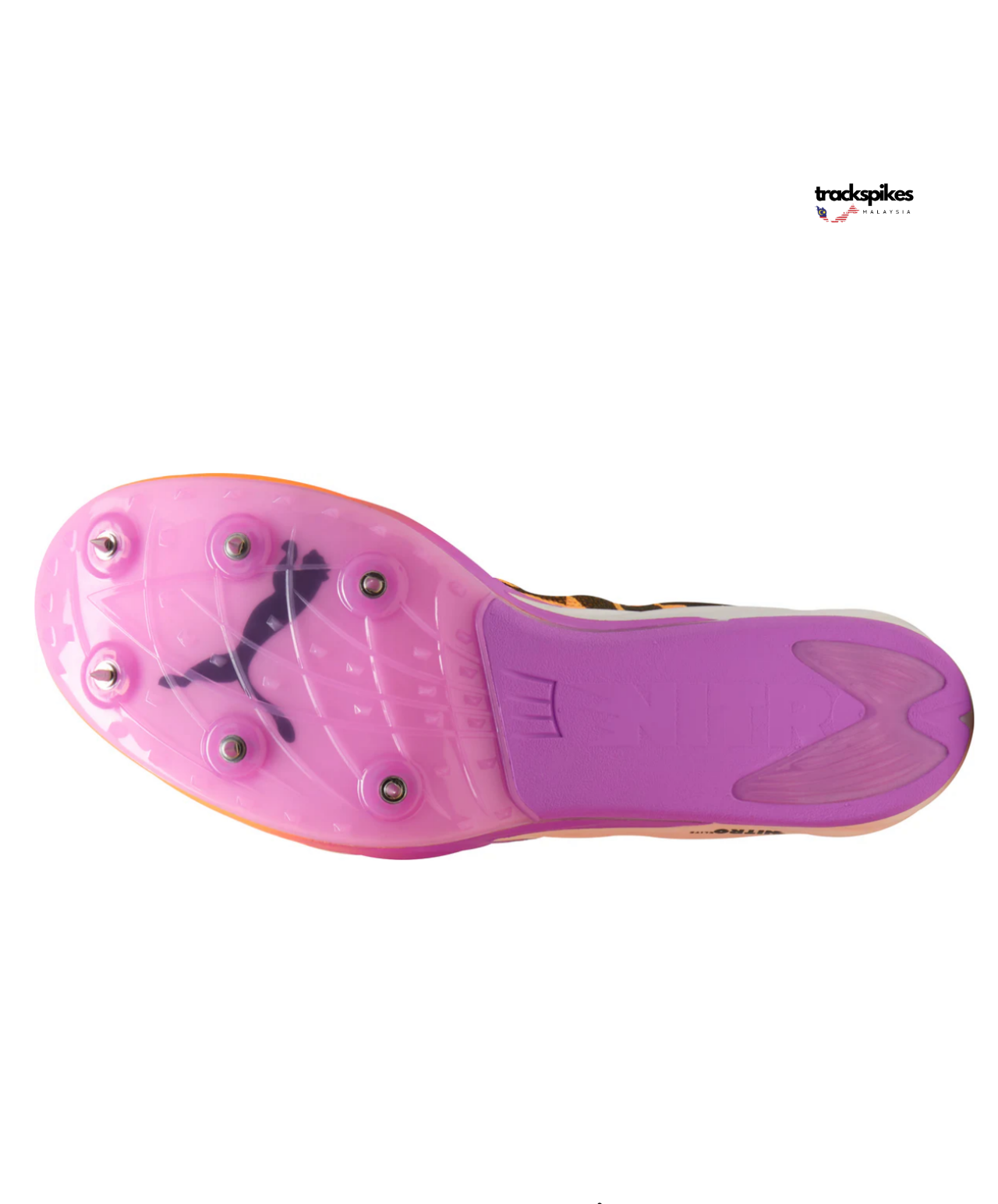 Puma Evospeed Nitro Elite 3 Long Distance