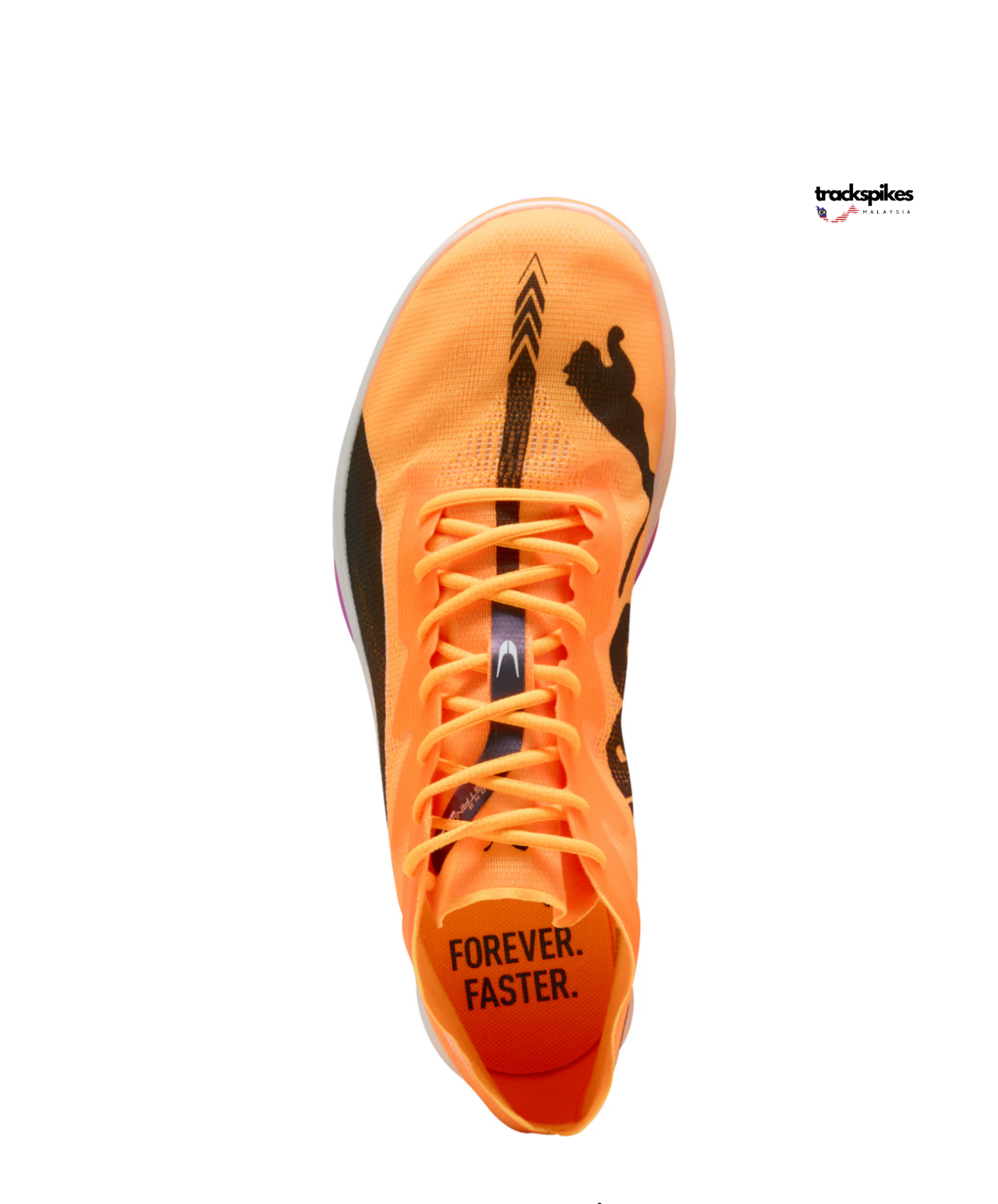 Puma Evospeed Nitro Elite 3 Long Distance