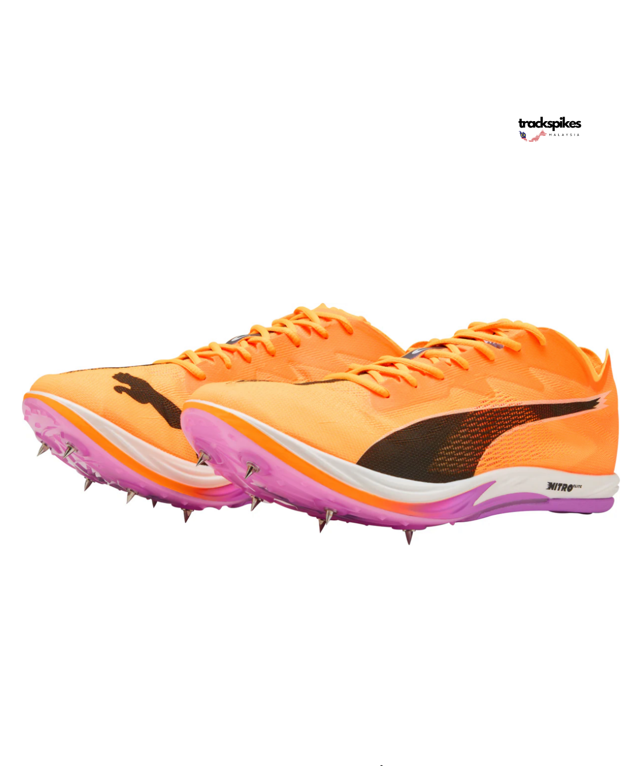 Puma Evospeed Nitro Elite 3 Long Distance