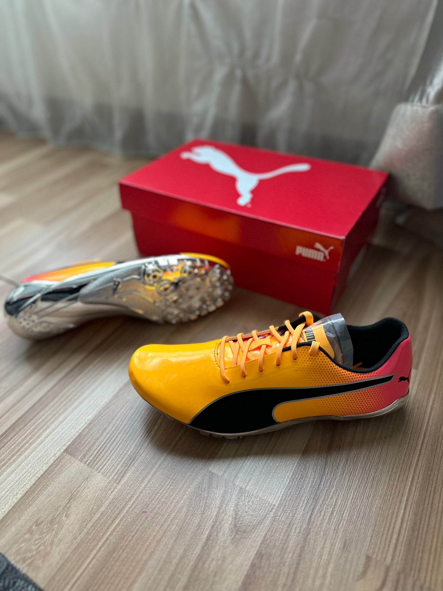 Puma evospeed gold best sale