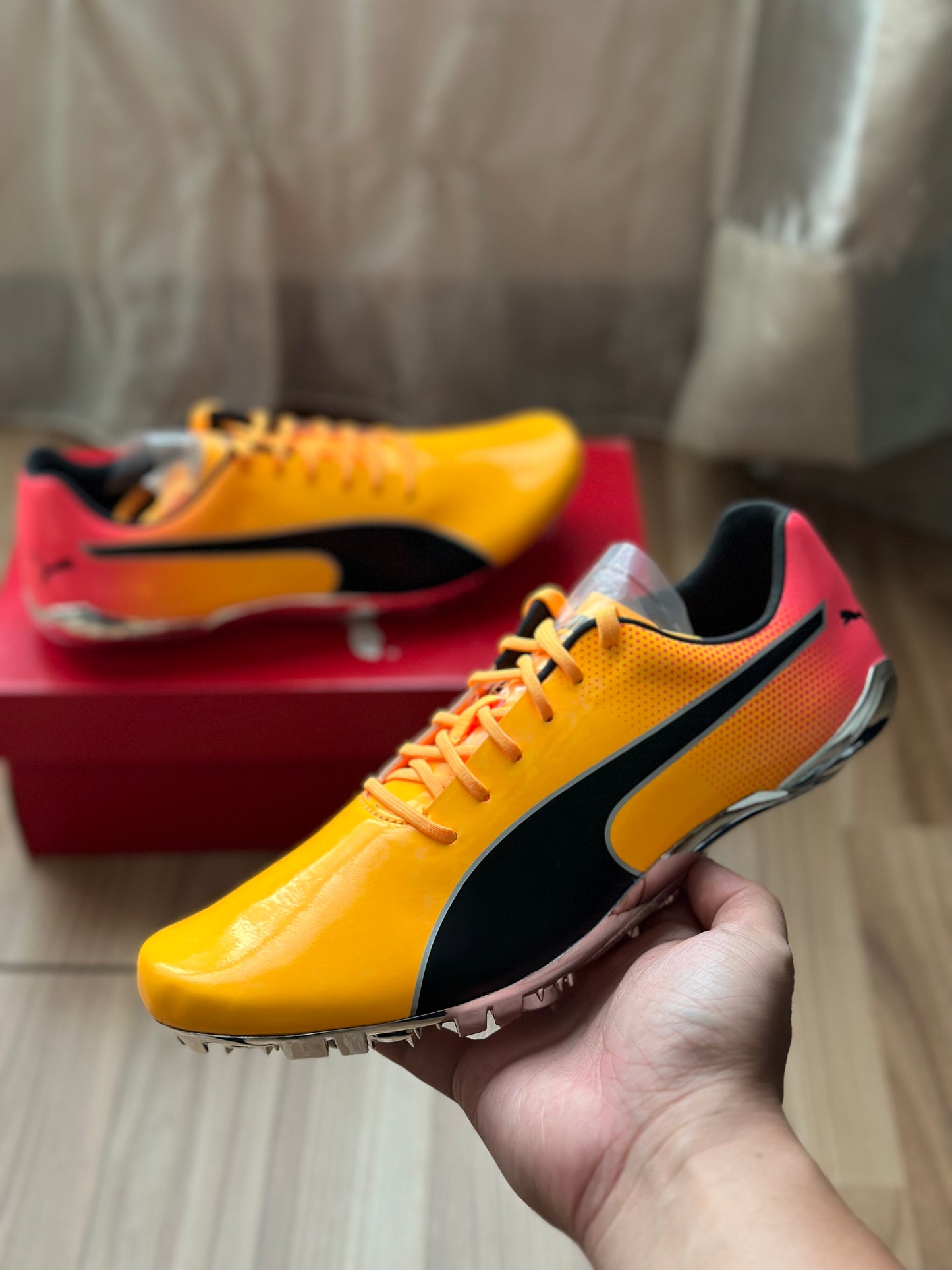 Puma evospeed gold spikes best sale