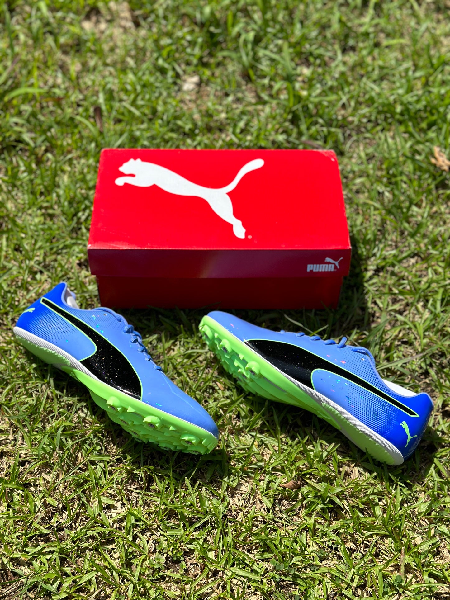 Puma Evospeed Sprint 14