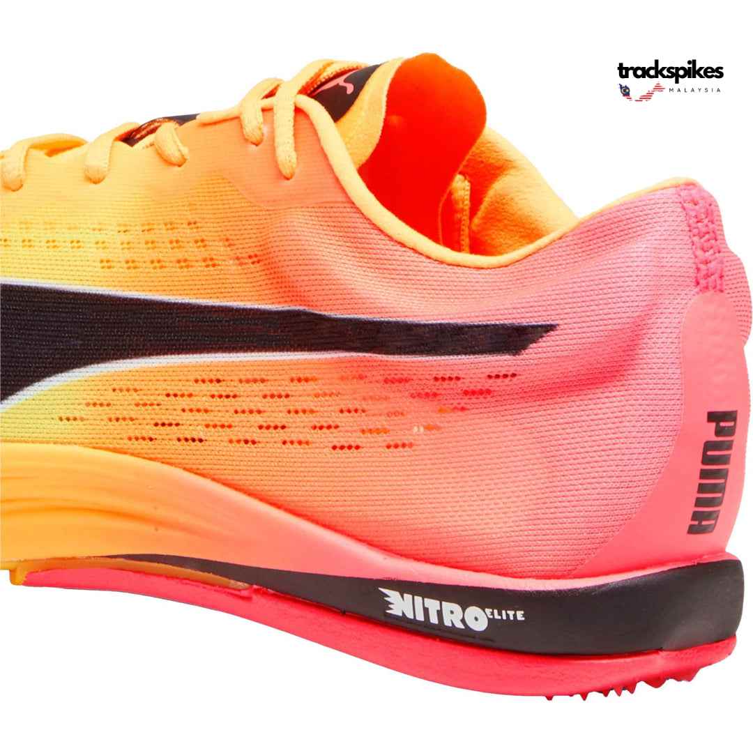 Puma Evospeed Nitro Elite + Long Distance – TRACKSPIKESMALAYSIA