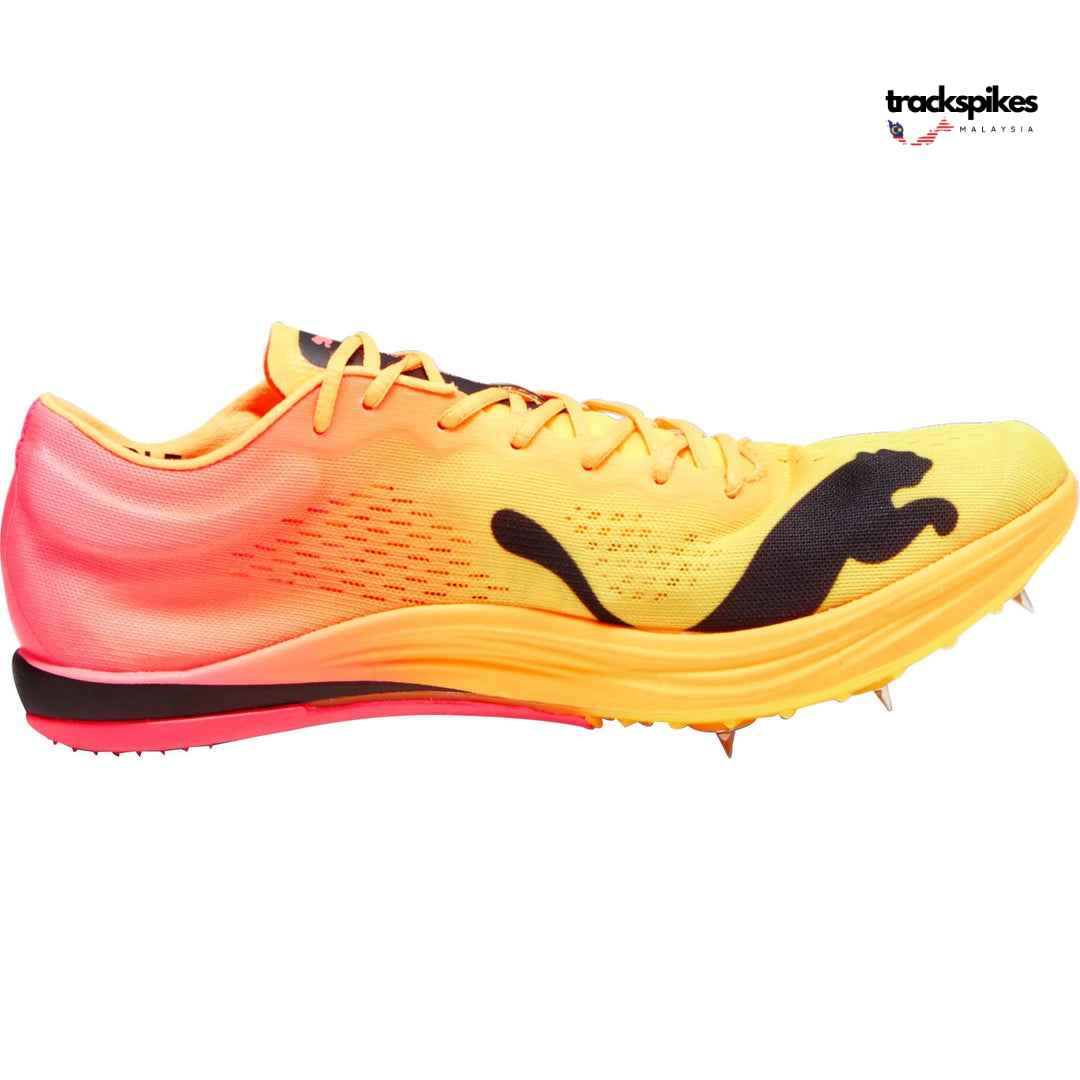 Puma Evospeed Nitro Elite + Long Distance